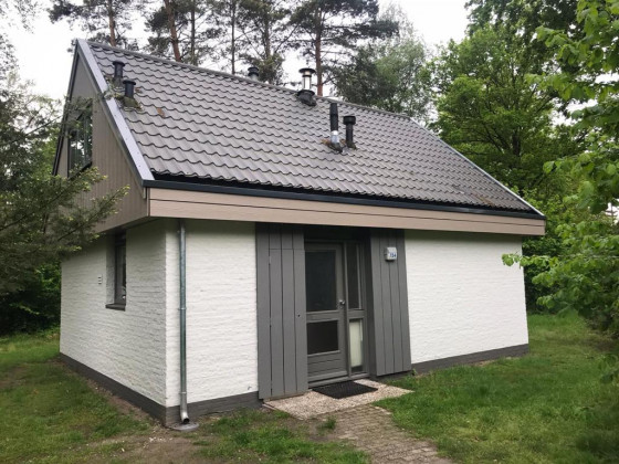 Limburgse Peel